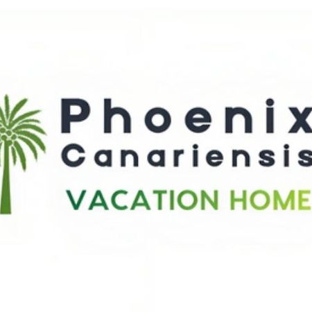Phoenix Canariensis San Juan de la Rambla Luaran gambar