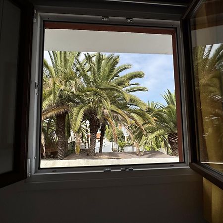 Phoenix Canariensis San Juan de la Rambla Luaran gambar