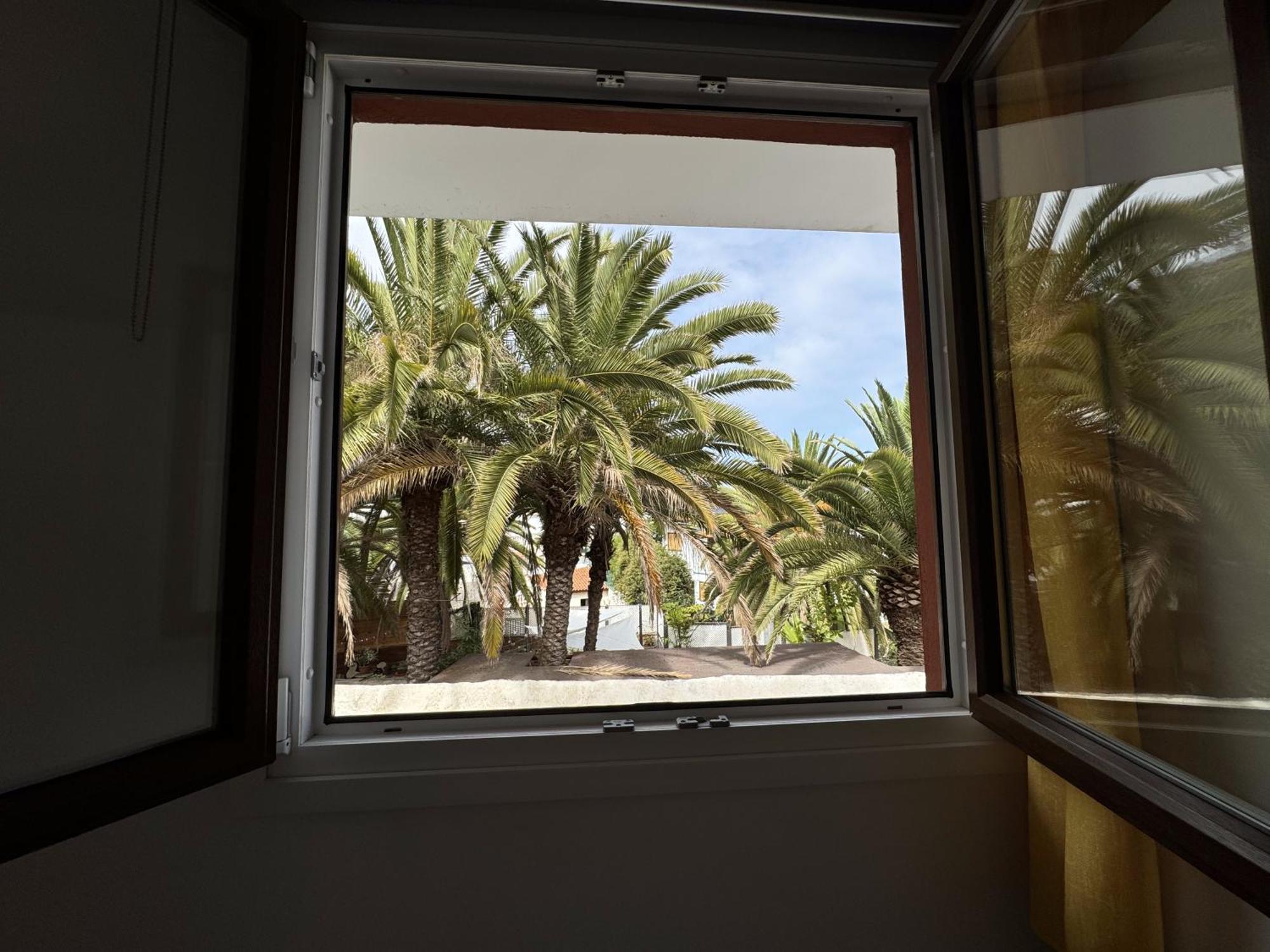 Phoenix Canariensis San Juan de la Rambla Luaran gambar