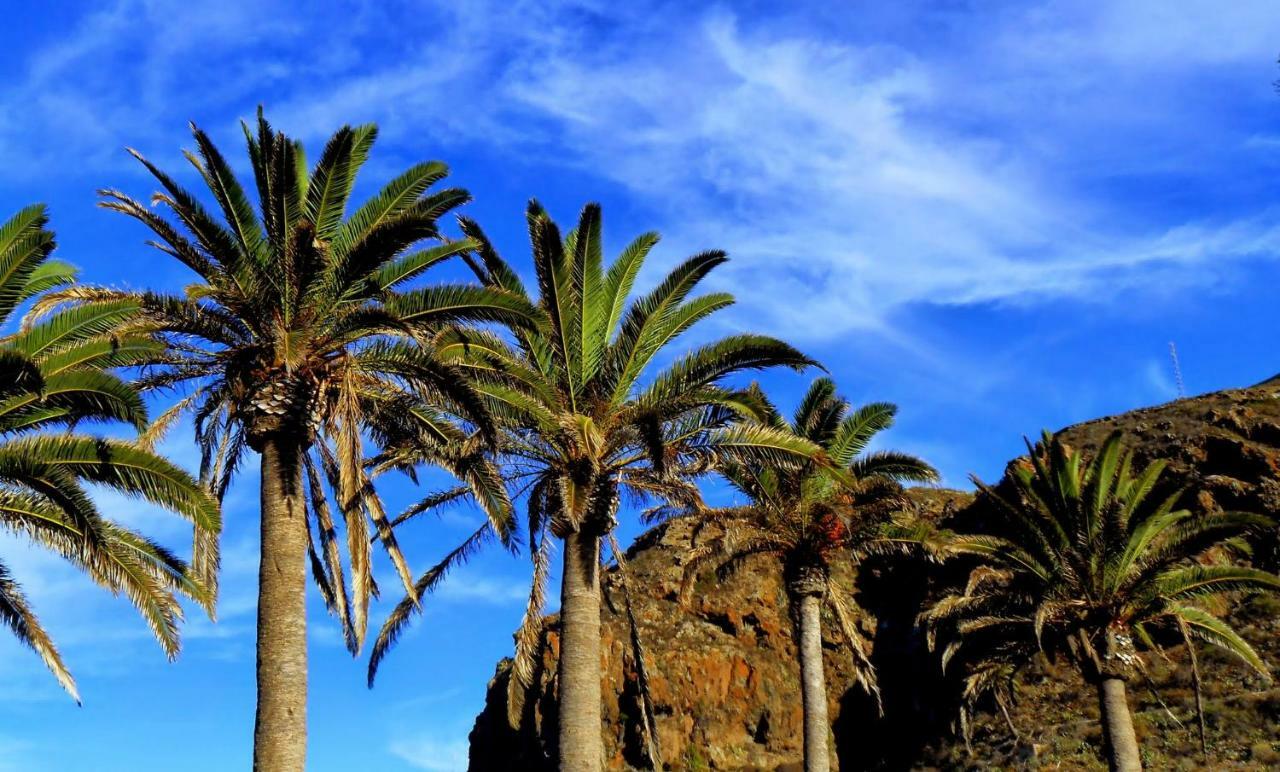 Phoenix Canariensis San Juan de la Rambla Luaran gambar
